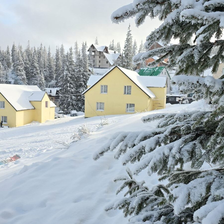Accommodation Dragobrat